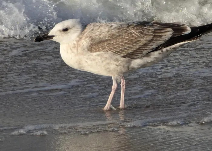 公寓 Oaza Spokoju *